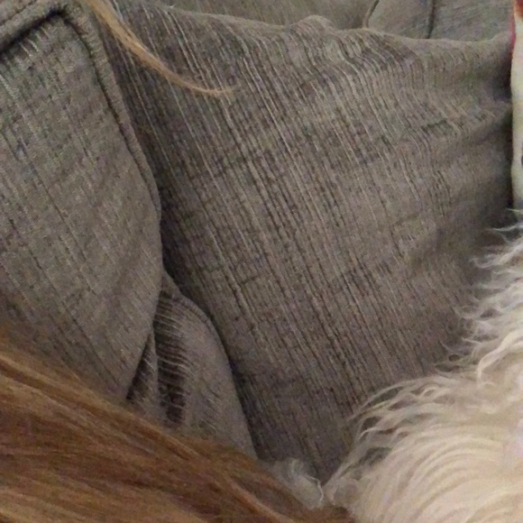 Meet your Posher, Phoebe - Picture 1 of 1